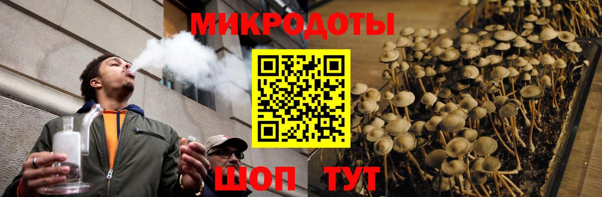 Псилоцибиновые грибы MAGIC MUSHROOMS Саки